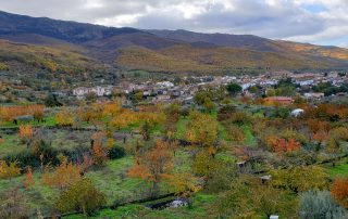 06-castañar-en-otoño