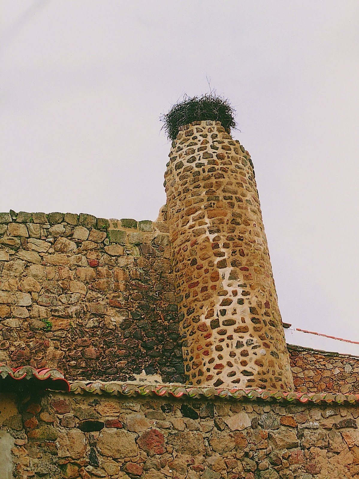 163torreonsegura