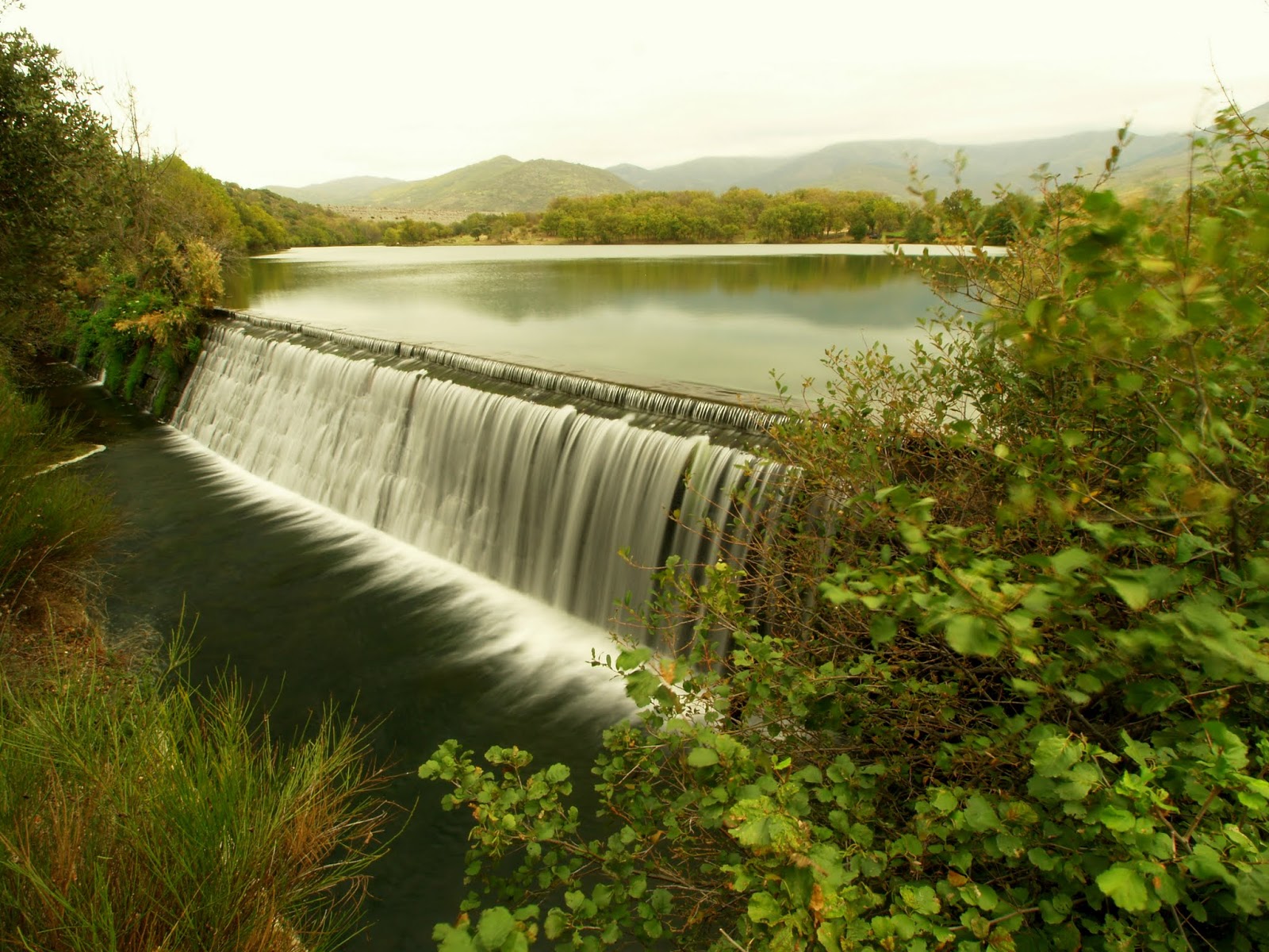 17-2009 (1)