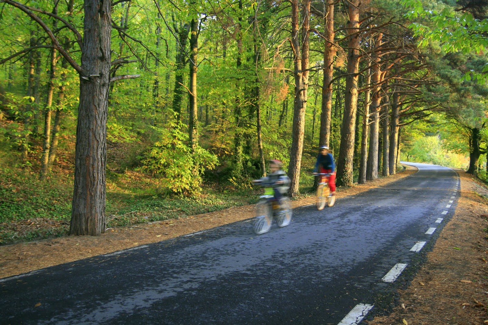 43-2009 (6)
