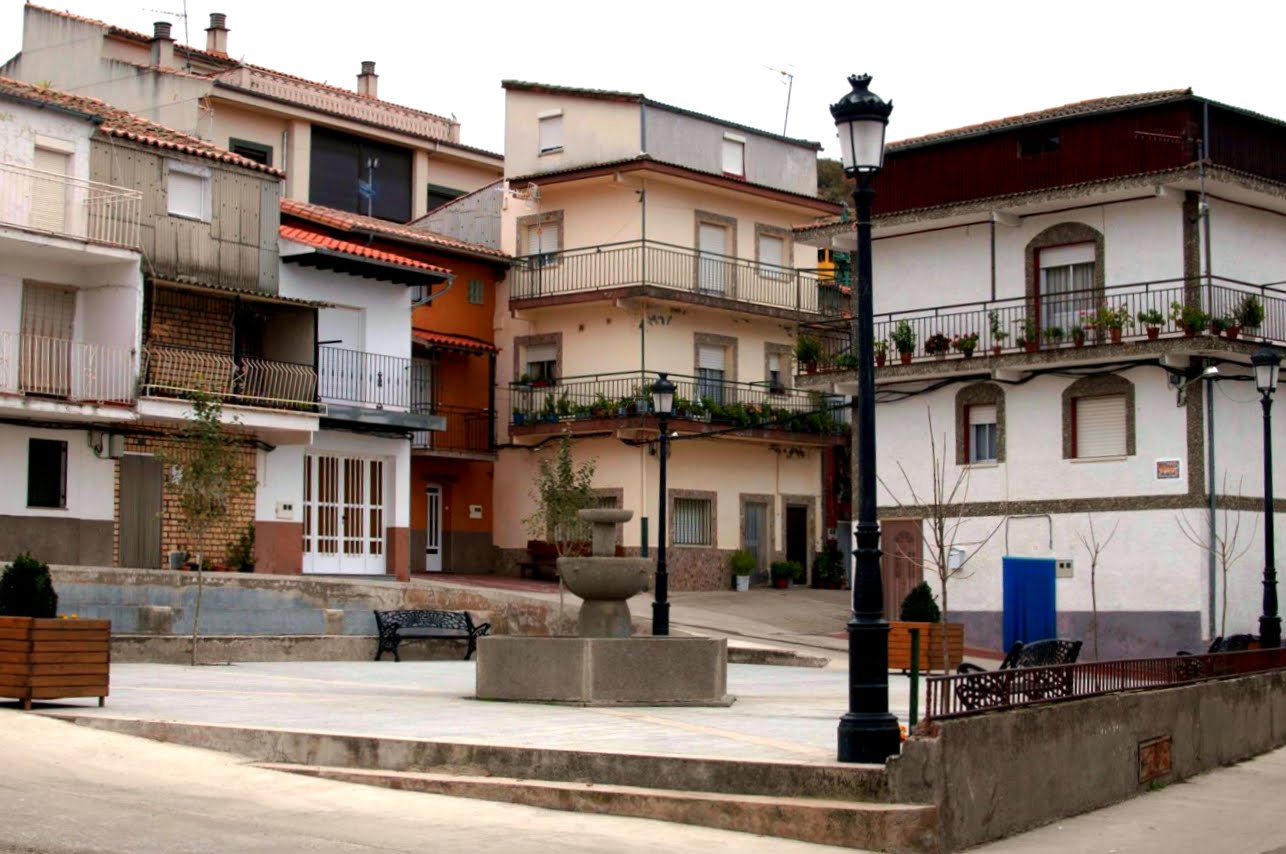 P98-2010- (8)