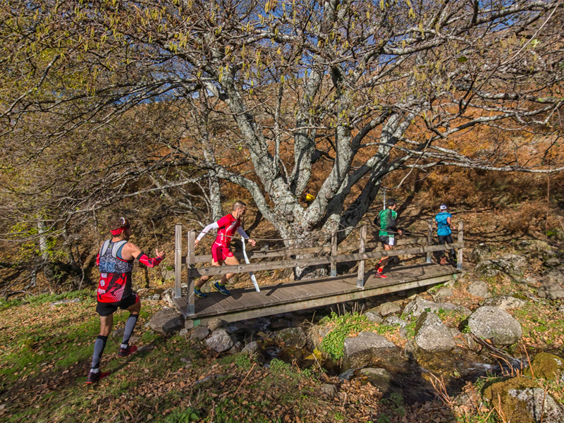 XII CARRERA POR MONTAÑA SUBIDA A LOS CAMPANARIOS