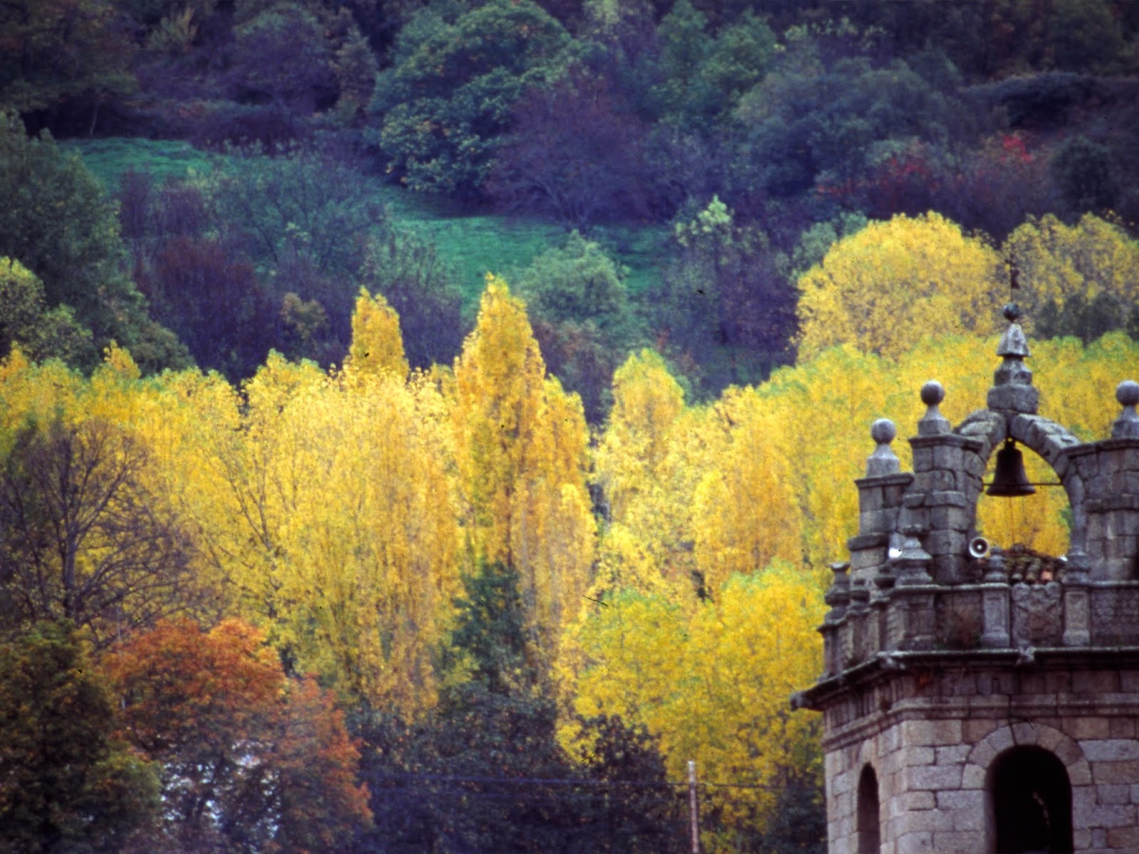 campanario+otoño