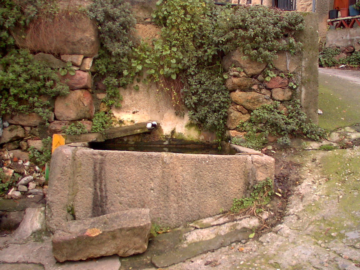 fuenteSta.AnaSegura