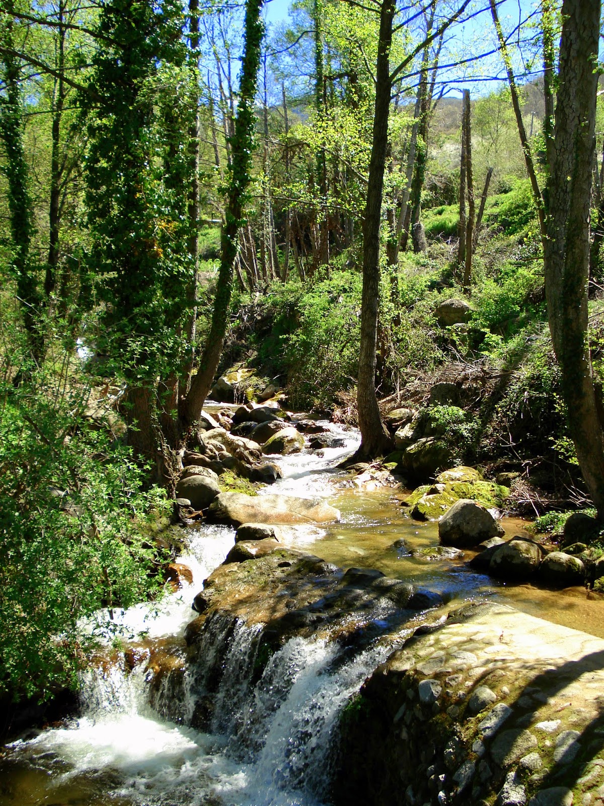 garganta 03-04-2006 1-16-39