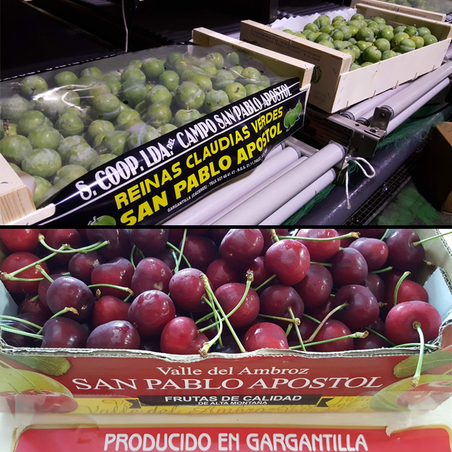 gargantilla_productos