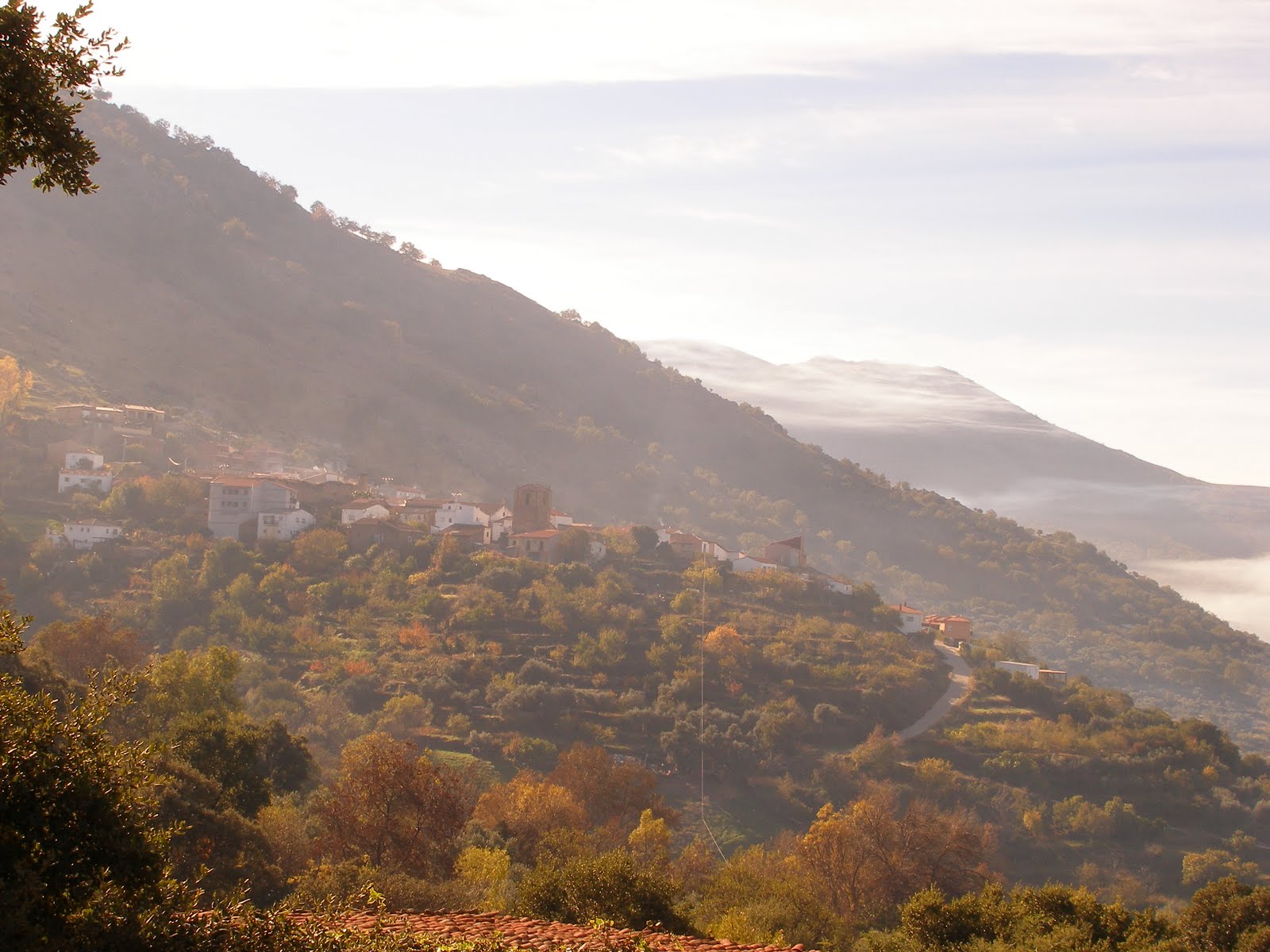 panormicasegura