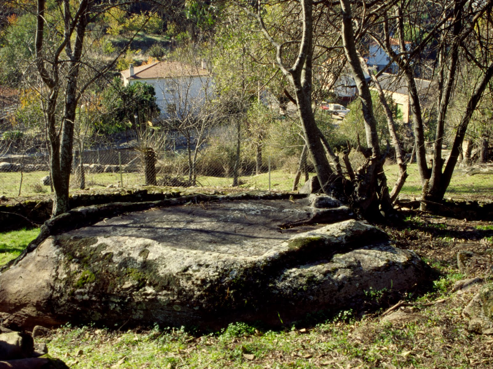 pilacelta60-04