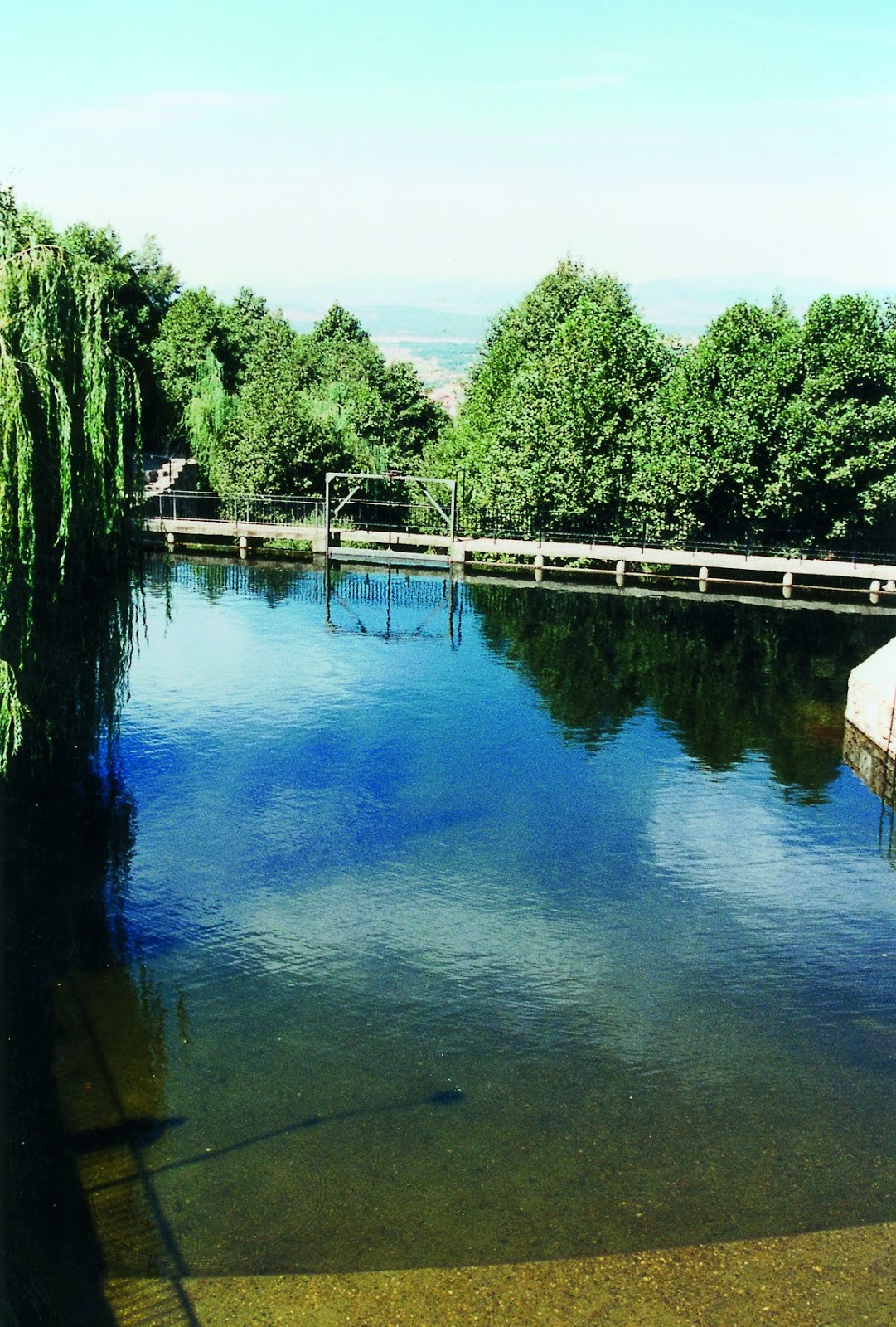 piscina Segura__