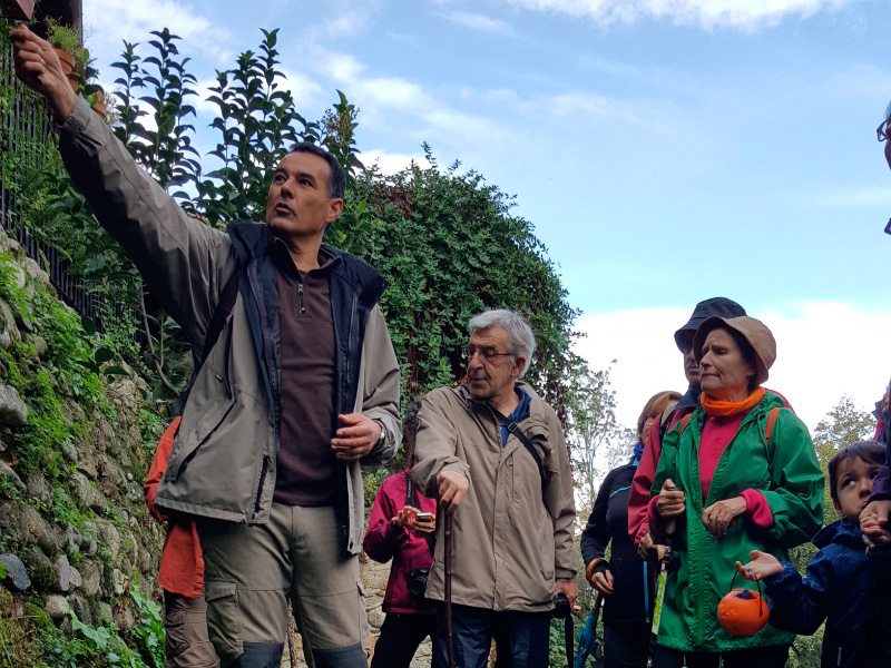 RUTA BOTÁNICA