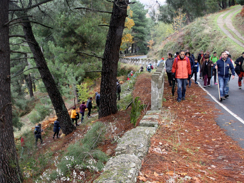 OTOÑO FESTIVO: Ruta de los Cesteros