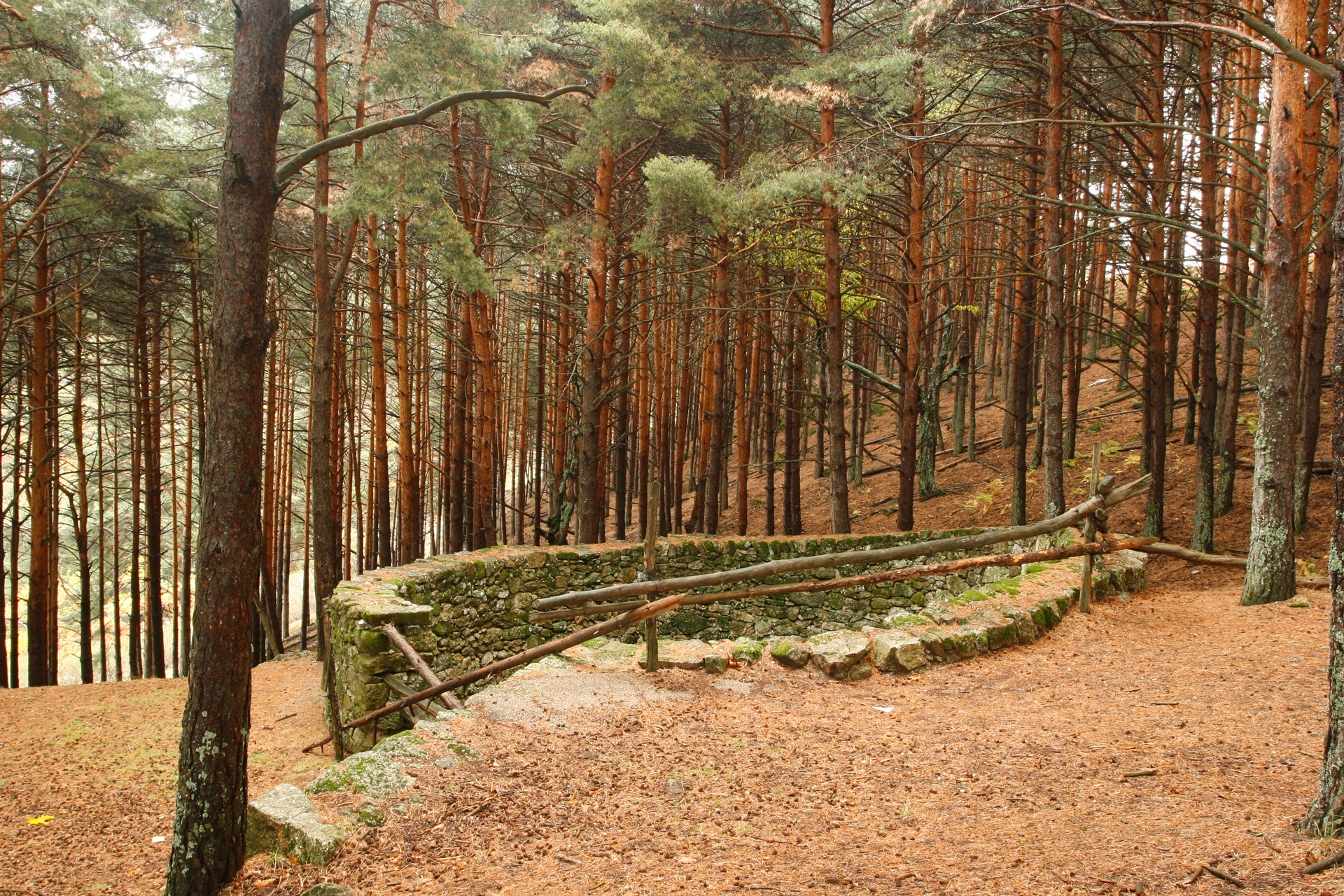 la_garganta_slider_04