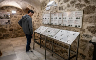 165_Termas_romanas_Baños_de_Montemayor_S