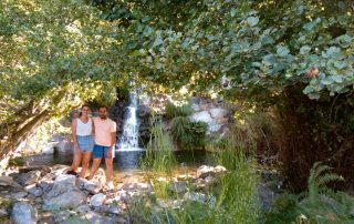 El forero