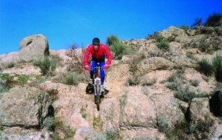 bicicletas_colmer_2