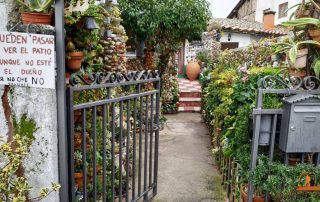 patio_de_cactus_4