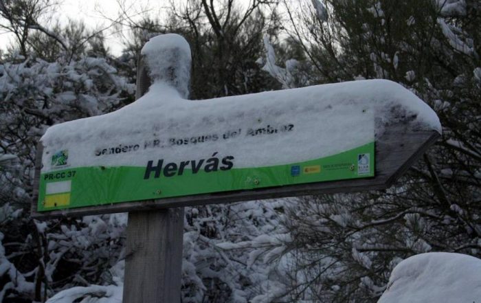 RUTA SENDERISTA BOSQUES DEL AMBROZ