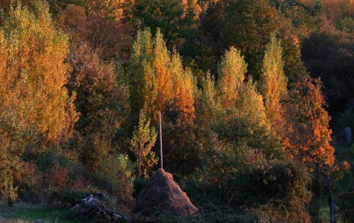 RUTA SENDERISTA CAMINO DE LOS ARRIEROS