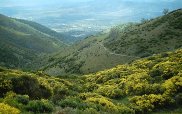 RUTA SENDERISTA PUERTO DE HONDURAS A ABADÍA