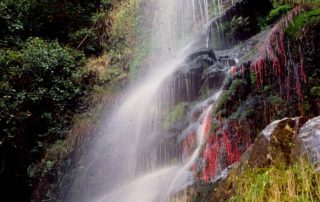 senderismo_la_chorrera_3