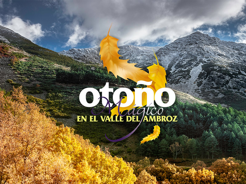 EXPOSICIÓN. 
