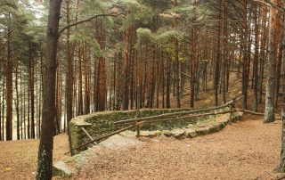 Corral de los Lobos