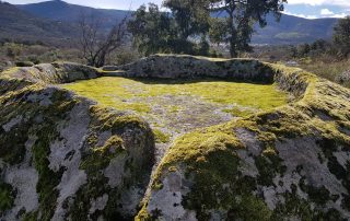 lagares celtas