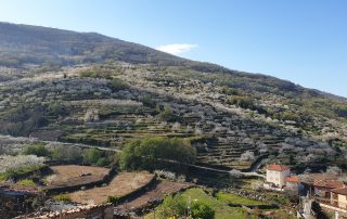 paisaje gargantilla