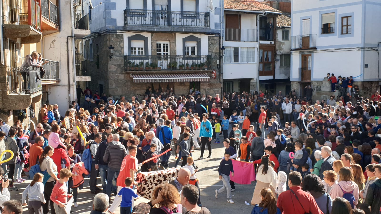 XIII FIESTA DE LA TRASHUMANCIA.