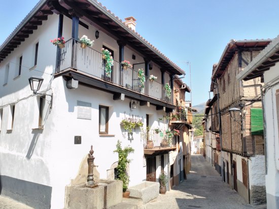 PASEO LITERARIO. La Ruta del Libro Verde.