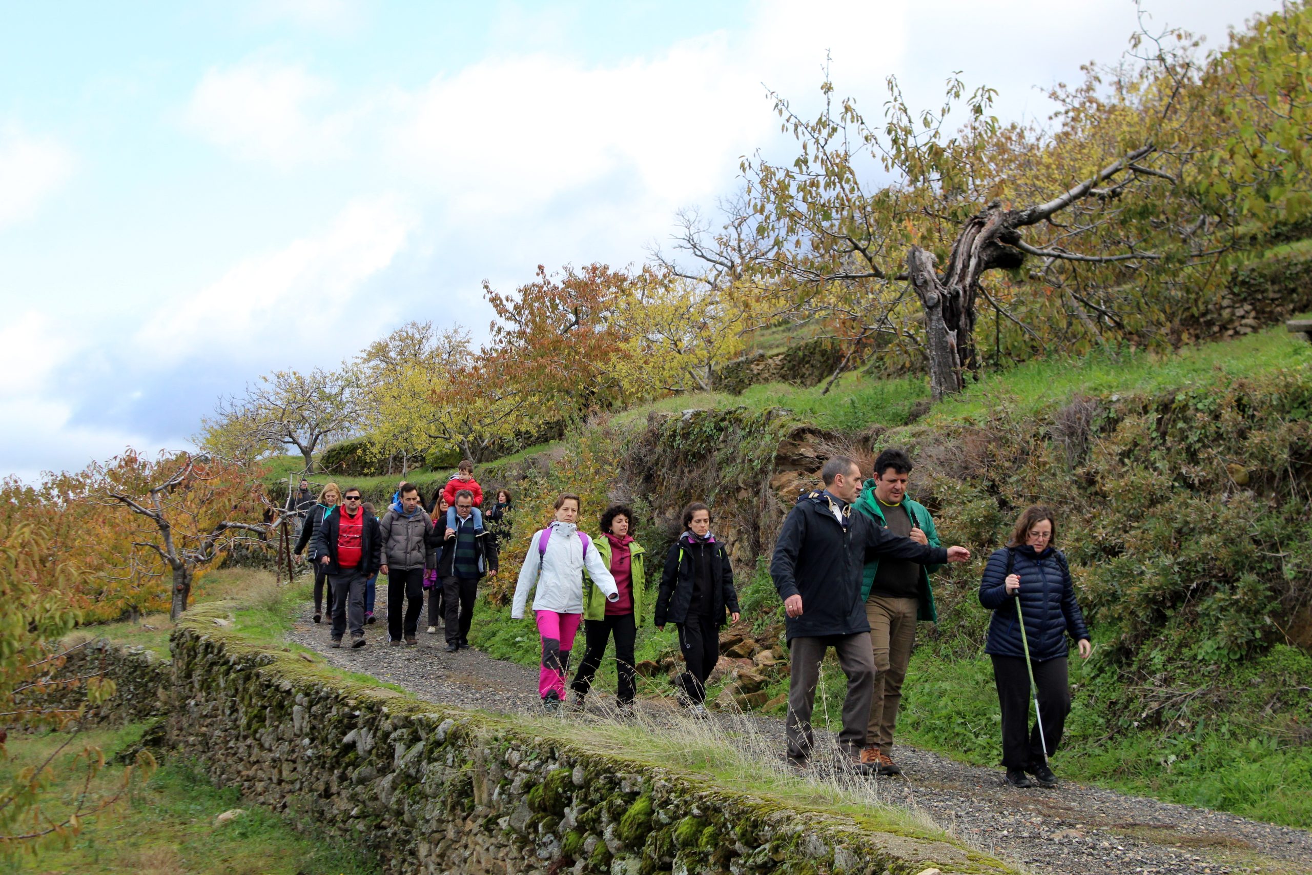 Paisaje y paisanaje. Ruta Solidaria por el Castañar